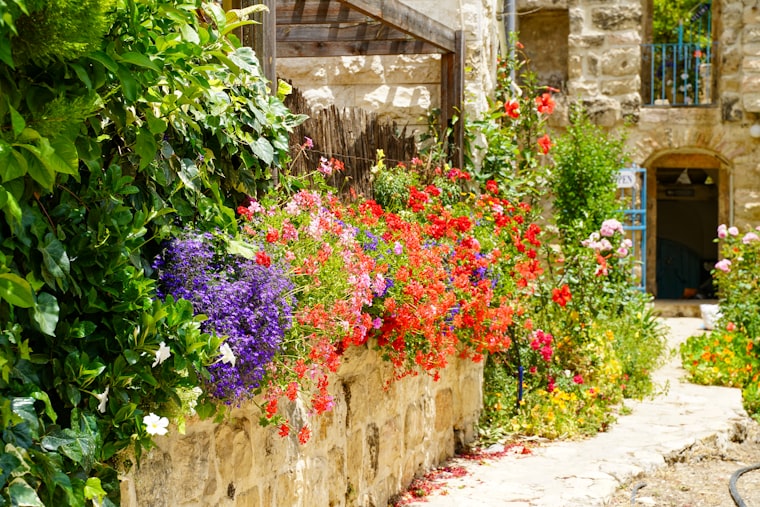Cottage Garden