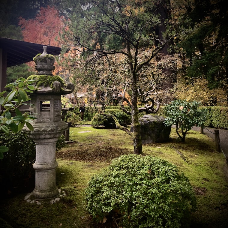 Zen Garden